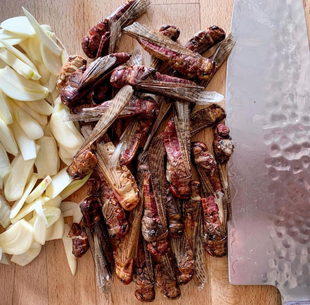 edible locusts by brooklyn bugs