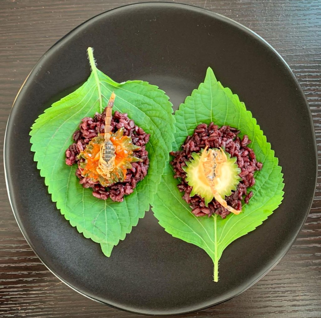learn about eating insects with joseph yoon of brooklyn bugs