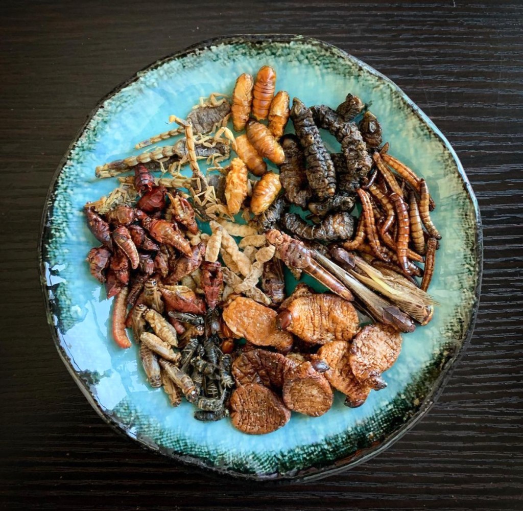 learn about eating insects with joseph yoon of brooklyn bugs