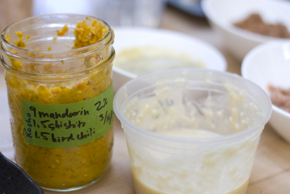 Mandarin Kosho with Shishito & Bird Chili Peppers from rich shih and jeremy umansky of koji alchemy